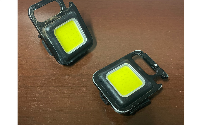 「夜にフラッシュはダメ？」釣った魚を美しく残すスマホ写真撮影方法を徹底解説