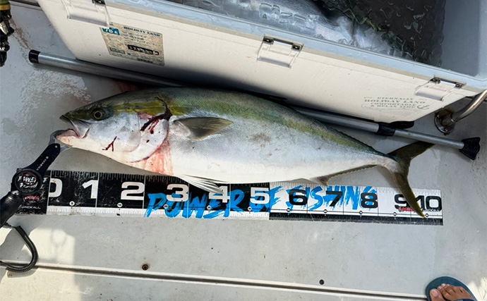 オフショアキャスティングで11kg良型ブリ浮上！【熊本・天草】シンペンで表層狙い撃ち