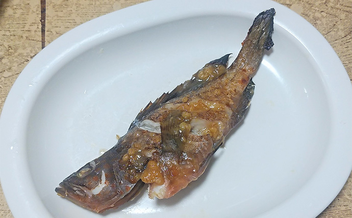 釣った魚で作る「コクうま」レシピ：キジハタの甘みそ焼き　みそがミソ？