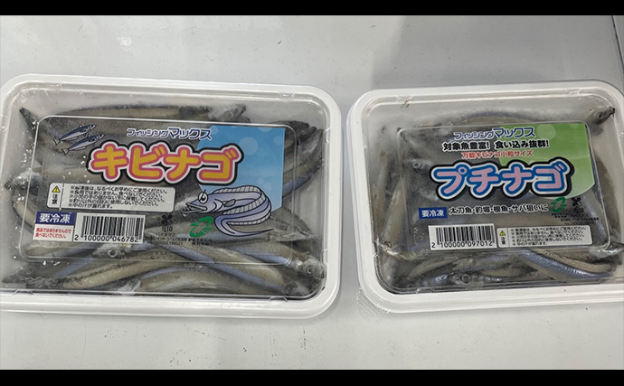 「あなたはエサ派？ルアー派？」陸っぱりタチウオ釣りで釣果優先ならエサ一択か