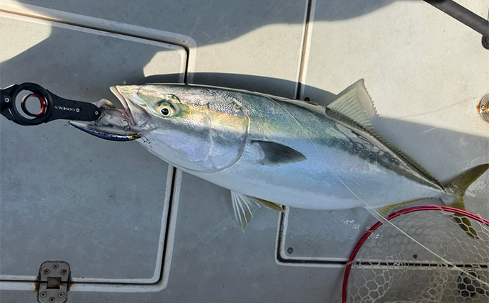 オフショアキャスティングで11kg良型ブリ浮上！【熊本・天草】シンペンで表層狙い撃ち