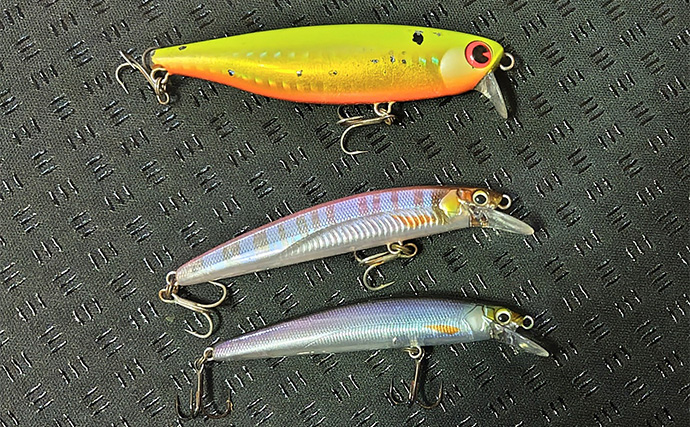 「動くルアーと動かないルアー」どちらが釣れる？ 使い分け方を解説