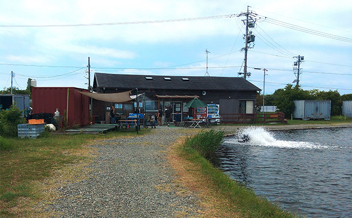 「日本でアマゾンの怪魚と強烈ファイト！」浜名湖フィッシングリゾートで56cmコロソマを手中