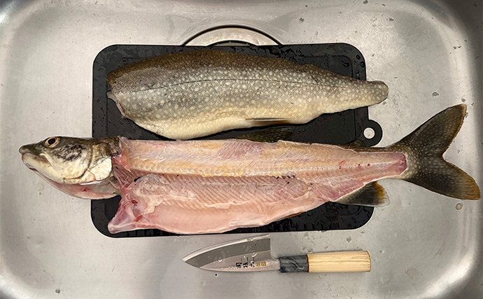 日本屈指の大物トラウトフィールド『中禅寺湖』で50cm超えレイクトラウトをキャッチ！