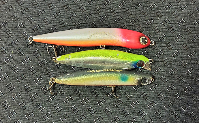 「動くルアーと動かないルアー」どちらが釣れる？ 使い分け方を解説