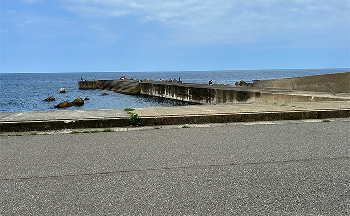 「ジグサビキしか勝たん！」堤防ライトショアジギングでショゴにツバス【福井・茂原人工海水浴場】