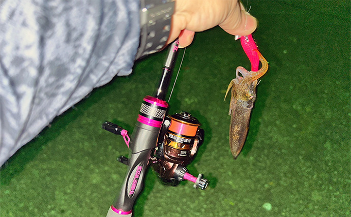 ヒイカエギングに初挑戦【熊本・上天草】群れに当たってまさかの連発！