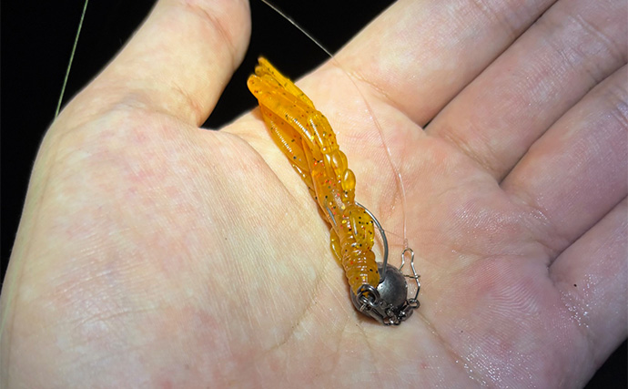 「2025年はチヌの当たり年？」泉大津でのライトゲーム釣行でチヌ2尾【大阪】