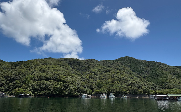 「メーター超えのアカメがヒット！」筏での泳がせ釣りでアカメを狙ってみた【高知】