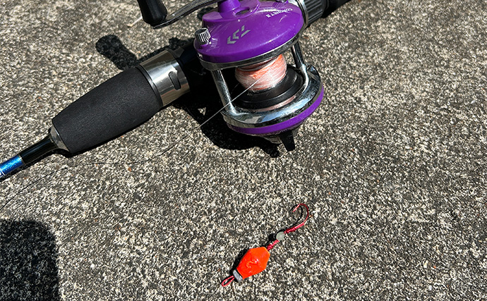 「ジグサビキしか勝たん！」堤防ライトショアジギングでショゴにツバス【福井・茂原人工海水浴場】