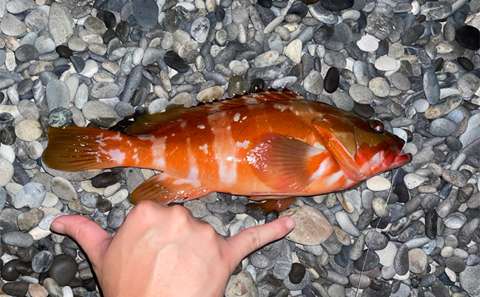 サーフぶっこみ釣りで大物を狙う！【三重・七里御浜】遠投ビッグヒットの正体とは？