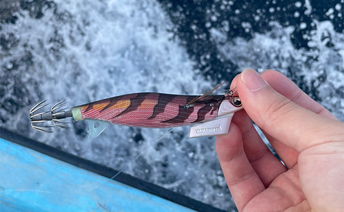 陸っぱりロッドでティップランエギングに初挑戦【福井】見事にアオリイカ20杯手中！