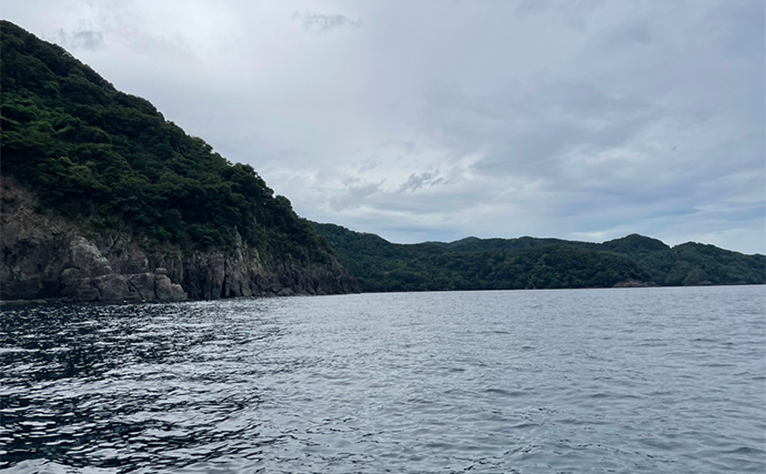 陸っぱりロッドでティップランエギングに初挑戦【福井】見事にアオリイカ20杯手中！