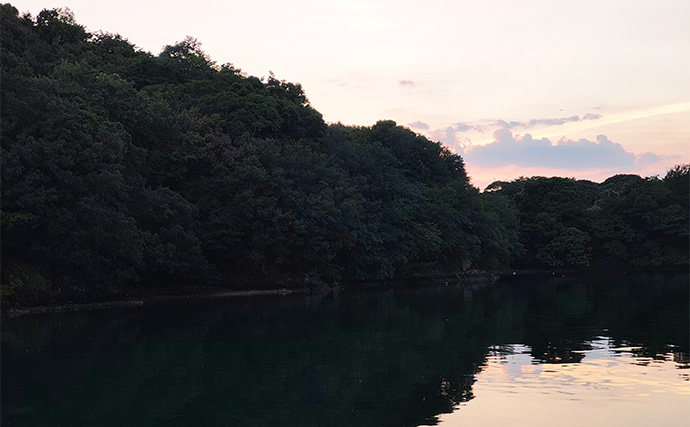 ランガン「アジングゲーム」で本命アジが連発【三重】だいだいカラーのワームが的中