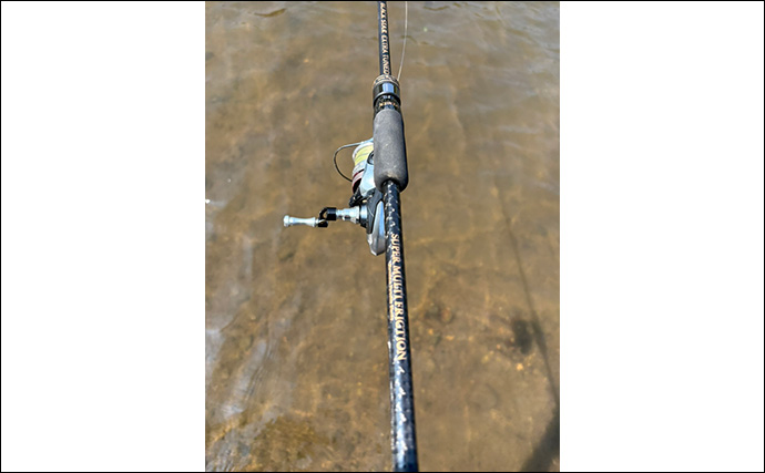 伊豆ライトゲームでメッキアジ＆クロダイをキャッチ！【静岡】チニングではコチがヒット