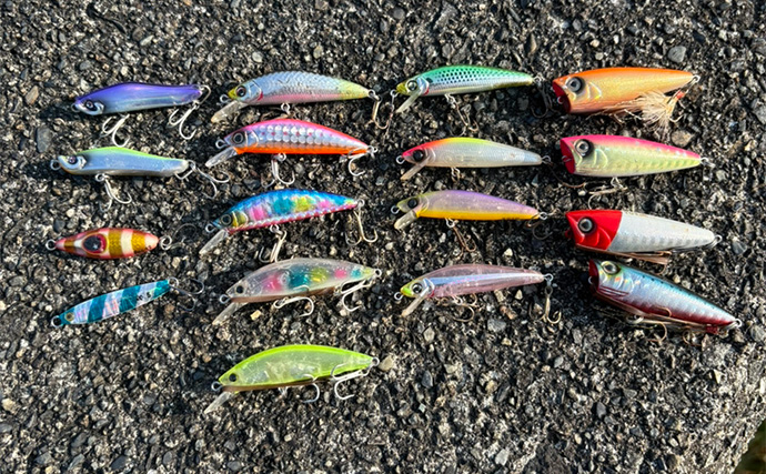 伊豆ライトゲームでメッキアジ＆クロダイをキャッチ！【静岡】チニングではコチがヒット