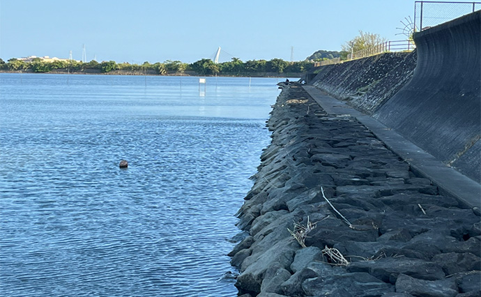 セリアのアジングワームを浜名湖で使ってみたらハゼが猛烈アタック！【表鷲津湖岸公園】