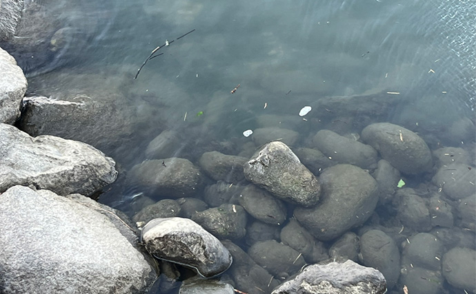 セリアのアジングワームを浜名湖で使ってみたらハゼが猛烈アタック！【表鷲津湖岸公園】