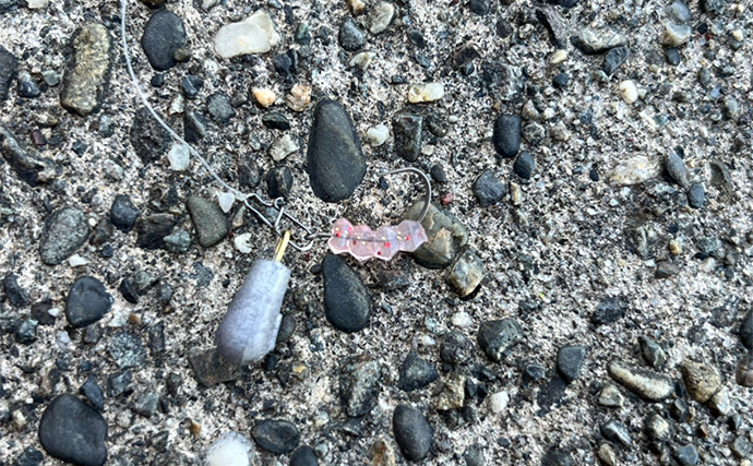 セリアのアジングワームを浜名湖で使ってみたらハゼが猛烈アタック！【表鷲津湖岸公園】