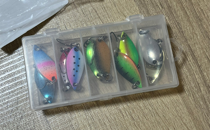 ネット通販の激安スプーンでチニングに挑戦【静岡・表鷲津湖岸公園】本命不発もヘダイがヒット