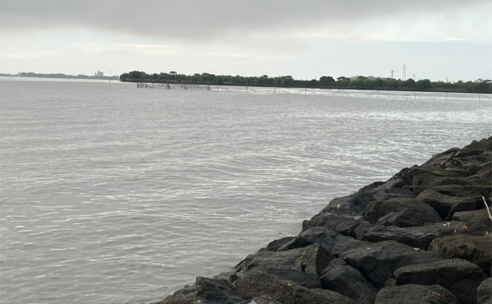 ネット通販の激安スプーンでチニングに挑戦【静岡・表鷲津湖岸公園】本命不発もヘダイがヒット