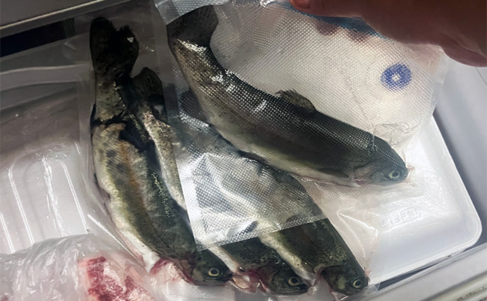 「釣ったその場で真空パック！」Suseal Homeを持ち込んでニジマスを丸ごと保存＆調理してみた