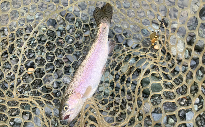 「釣ったその場で真空パック！」Suseal Homeを持ち込んでニジマスを丸ごと保存＆調理してみた