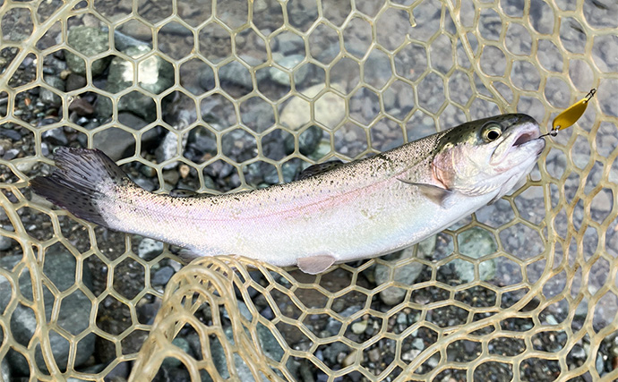 「釣ったその場で真空パック！」Suseal Homeを持ち込んでニジマスを丸ごと保存＆調理してみた