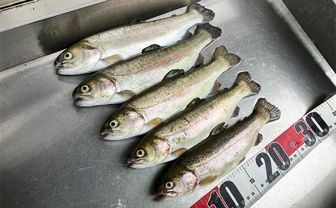 「釣ったその場で真空パック！」Suseal Homeを持ち込んでニジマスを丸ごと保存＆調理してみた