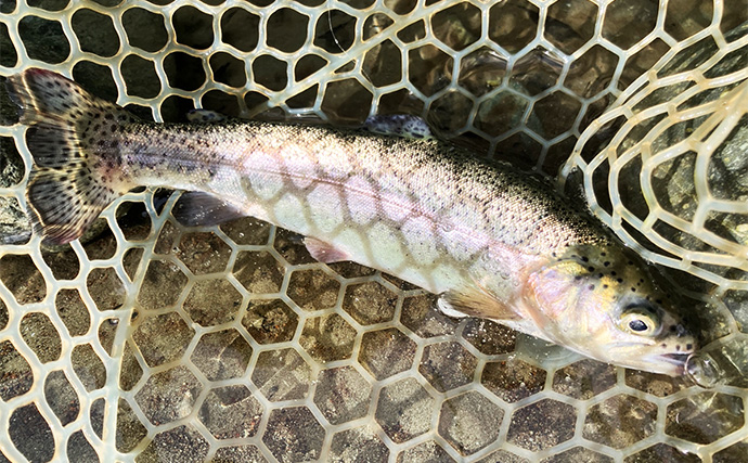 「釣ったその場で真空パック！」Suseal Homeを持ち込んでニジマスを丸ごと保存＆調理してみた