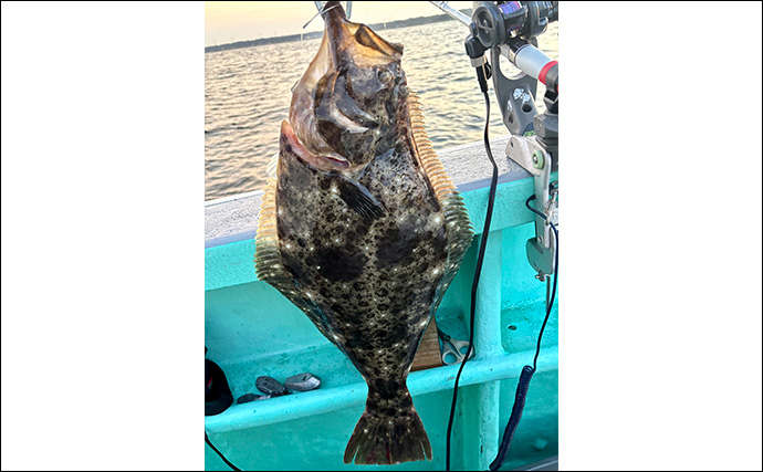 「イワシ泳がせてドラグがジー！」3.2kg良型ヒラメ浮上【千葉・忍丸】大型狙い撃ち可能なタックルとは