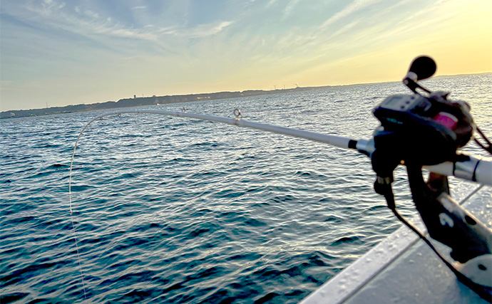 「イワシ泳がせてドラグがジー！」3.2kg良型ヒラメ浮上【千葉・忍丸】大型狙い撃ち可能なタックルとは