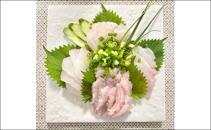 「イワシ泳がせてドラグがジー！」3.2kg良型ヒラメ浮上【千葉・忍丸】大型狙い撃ち可能なタックルとは