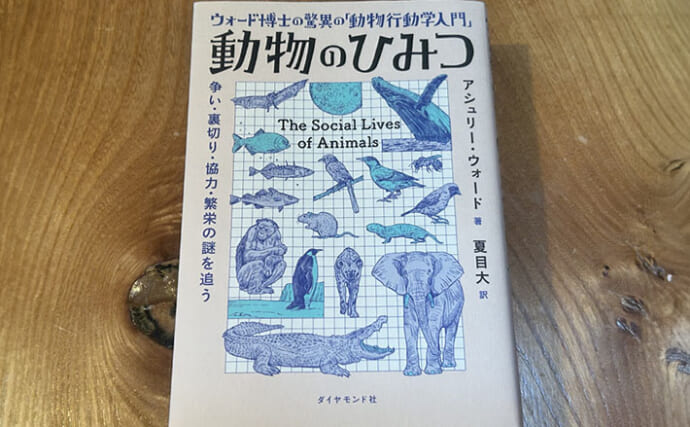 意外と知らない「魚が群れを作る理由」　行き先は群れの中の5％の魚が決めている？
