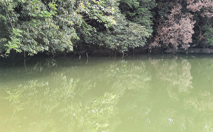 自作ルアーでバスフィッシング【三重】シャロークランクでブラックバスをキャッチ