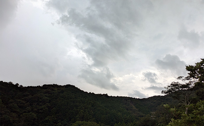 漁港ライトソルトゲームでオオモンハタ祭り！【三重・南伊勢】カンモンハタ＆ヤミハタも登場