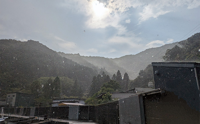 漁港ライトソルトゲームでオオモンハタ祭り！【三重・南伊勢】カンモンハタ＆ヤミハタも登場