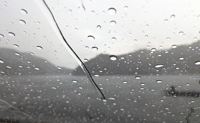 漁港ライトソルトゲームでオオモンハタ祭り！【三重・南伊勢】カンモンハタ＆ヤミハタも登場