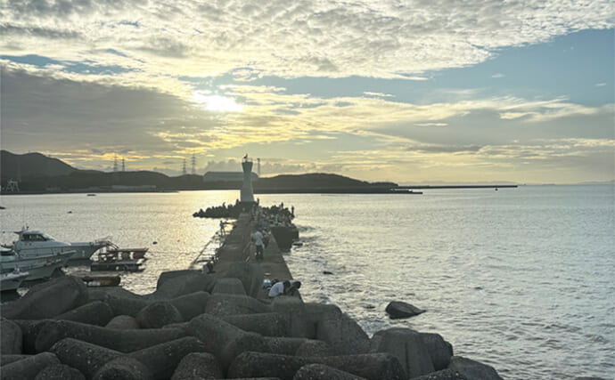 秋の釣りは「水温変化に伴う魚の動き」を理解しよう　風向きにも要注意