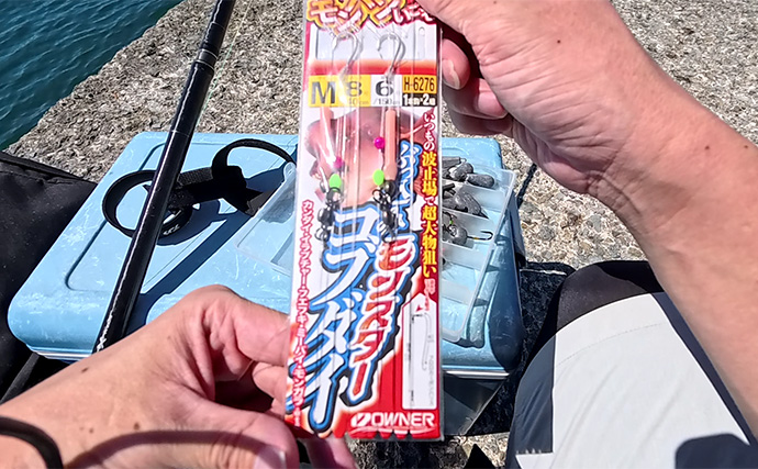 真夏の堤防エサ釣りで52cmコブダイをキャッチ　食い込み重視の胴突き仕掛けが的中