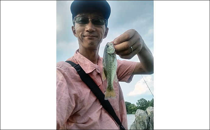 柴山沼でのブラックバス釣りで子バス7匹【埼玉・白岡】シェイクしながらの横引きで連発