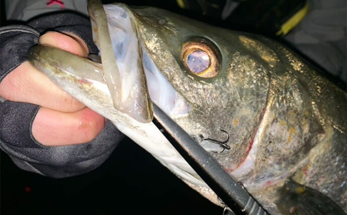 釣り人が「年を取ったなぁ」と感じる瞬間4選　釣れなくても粘らなくなる？