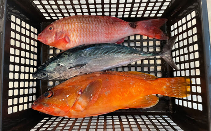 サーフぶっこみ釣りで大物を狙う！【三重・七里御浜】遠投ビッグヒットの正体とは？