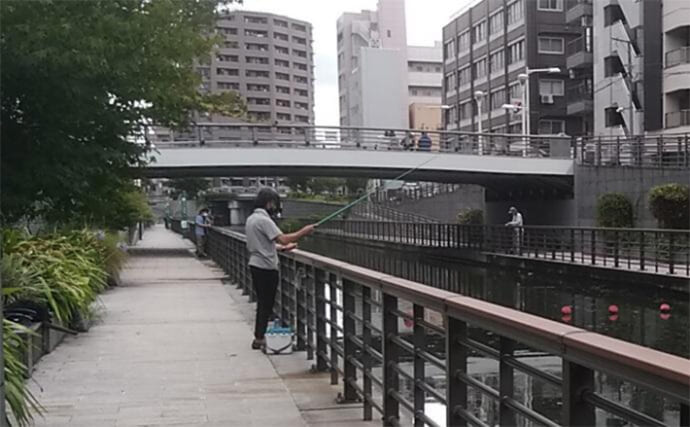 東京湾奥の【日影がある！】ハゼ釣りポイント6選　熱中症を避けて釣りを楽しもう