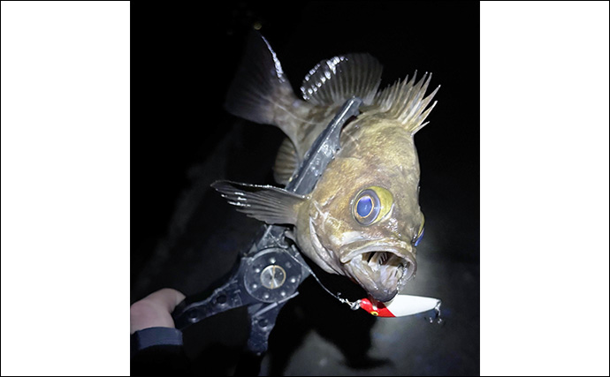 秋の釣りは「水温変化に伴う魚の動き」を理解しよう　風向きにも要注意