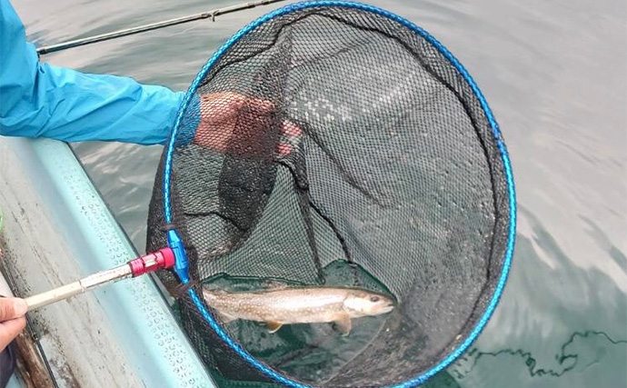 日本屈指の大物トラウトフィールド『中禅寺湖』で50cm超えレイクトラウトをキャッチ！