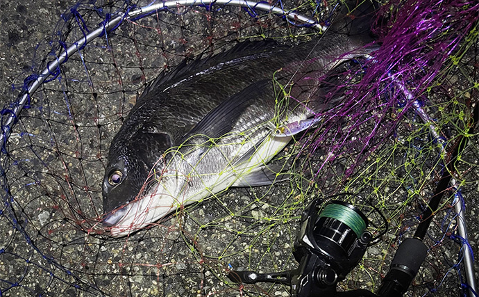 大阪湾チニングで本チヌにキビレを連続キャッチ【泉大津】メバリングタックルを流用