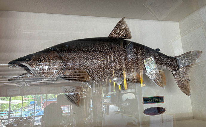 日本屈指の大物トラウトフィールド『中禅寺湖』で50cm超えレイクトラウトをキャッチ！