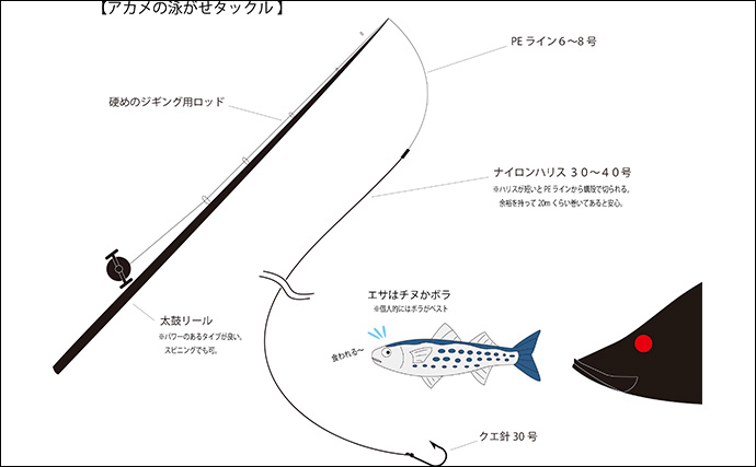 「メーター超えのアカメがヒット！」筏での泳がせ釣りでアカメを狙ってみた【高知】