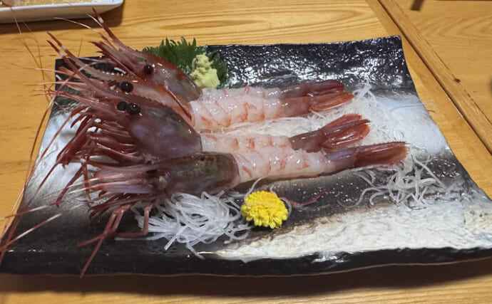 国産最高峰の高級エビ『ブドウエビ』は飛び抜けた美味しさ　昔は廃棄されていた？
